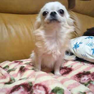 素敵なご縁を頂きました☺️