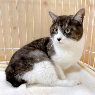 3/21西千葉☆ブラックスモーク♡「フクくん」