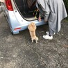 ビィママ