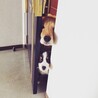 朝出動のお見送り〜