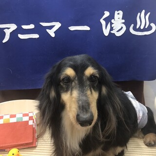 わんぱくな所もあるけど性格花丸君