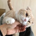 【家族決定】どすこい、ずっしり★兵庫県まさむね君