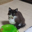 目は見えないけれど、可愛く元気なふぶき君❣️