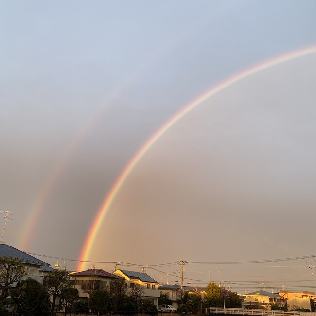 D_a_h_l_i_aのカバー写真