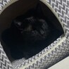 お気に入りの三角ハウス◡̈❁