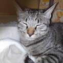  人が大好きほっぺくん、一歳になりました！