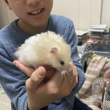 ウチにきて1年経ちました。