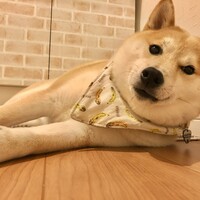 サン太