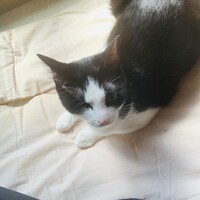 テキちゃん