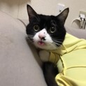 人懐っこい男の子です。