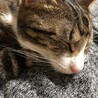  さん
