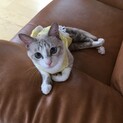 美少女！白セピアの女の子