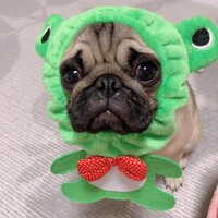 もだん