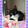 おっとり黒白★由佳ちゃん サムネイル2