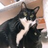 おっとり黒白★由佳ちゃん サムネイル4