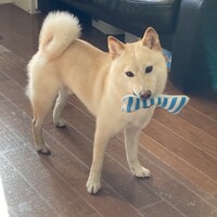 そら