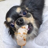 おこげ