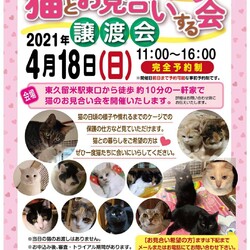 猫とお見合いをする会
