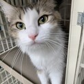 チャム夫 様お迎え