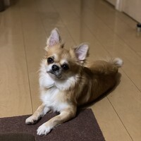 どろ