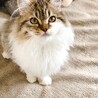 初ベッド乗り