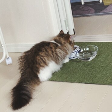 初モグモグ観察