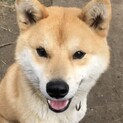 里親さん決まりました！