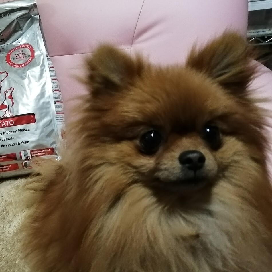 きーちゃんのカバー写真