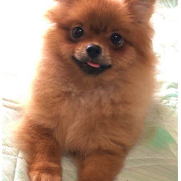 お迎え前！