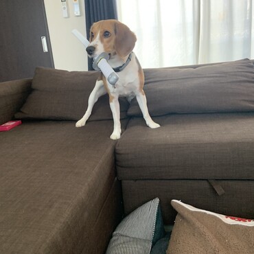 の写真