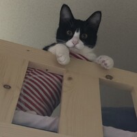 みわ
