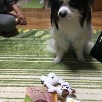 はると