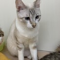 ずっとのお家を募集中