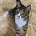 わんぱくで甘えん坊な10ヶ月の男の子