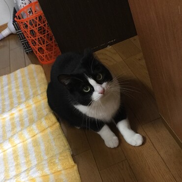 くま〜お願い♡…ブチコ母さんがサメはダメだって！