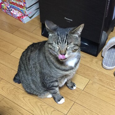 イヤです！…雹…お願い…食べてくれる？(^◇^;)