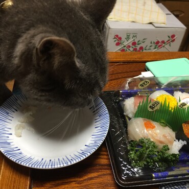 俺は中トロとサーモン！