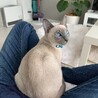 目の色が綺麗に撮れました