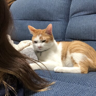 の写真