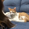 の写真
