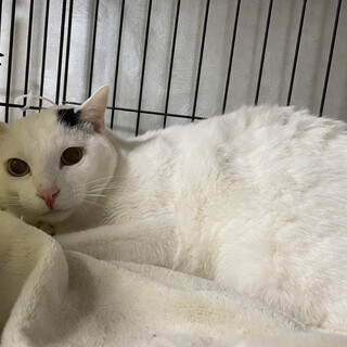 巨体なのに性格はとってもビビり君⚡️