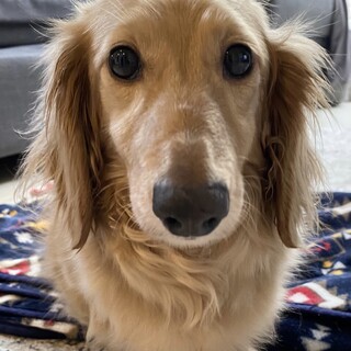 寝相は大胆！甘え方も大胆！おっとり可愛いういちゃん