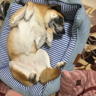 の写真