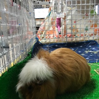 むーちゃん機嫌がいいとお返事します