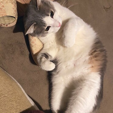 スリッパ大好き