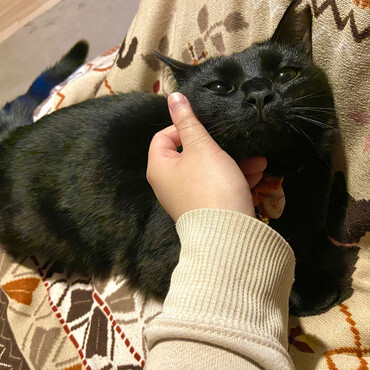 甘えんぼさん