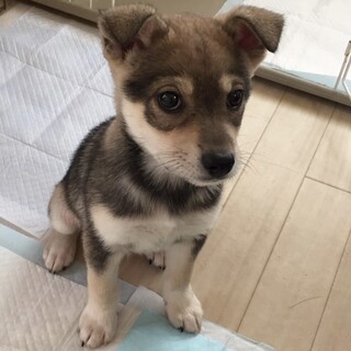 ありがとうございました。
