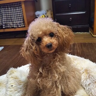 素敵なご縁を頂きました。