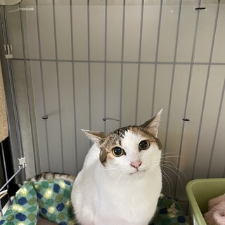 飼育経験豊富な方募集