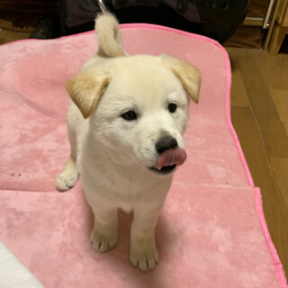 おっとりで穏やか”ルリ子”ちゃん☆